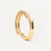 Anillo Genesis PDPAOLA