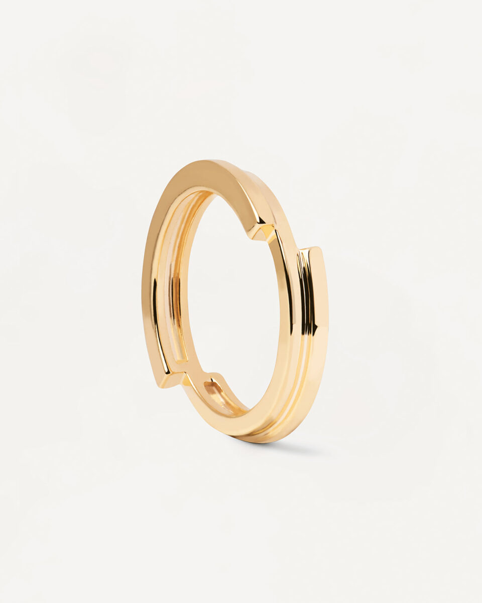 Anillo Genesis PDPAOLA