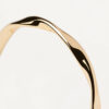 anillo3-pdpaola-AN01-804