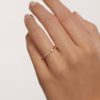 anillo1-pdpaola-an01-852