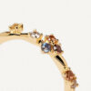 anillo1-pdpaola-AN01-210